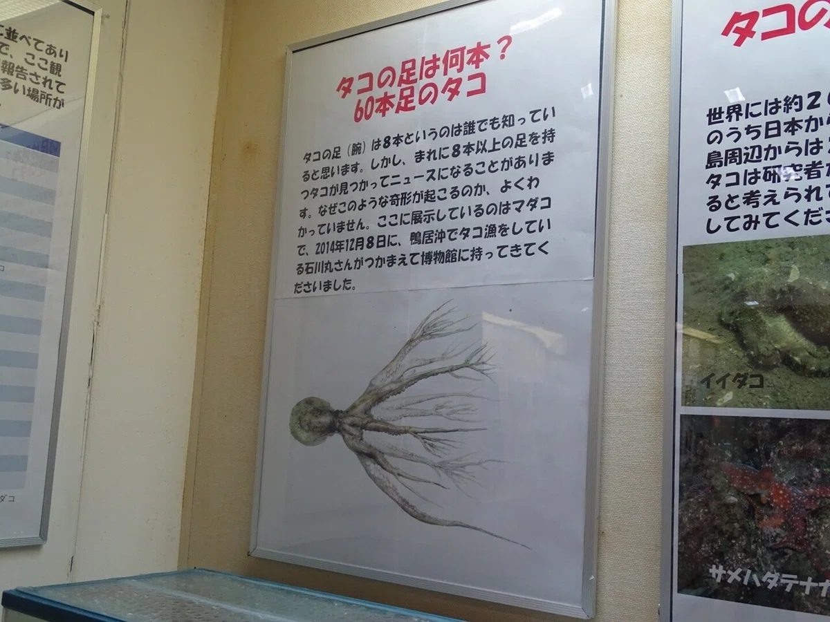画像50