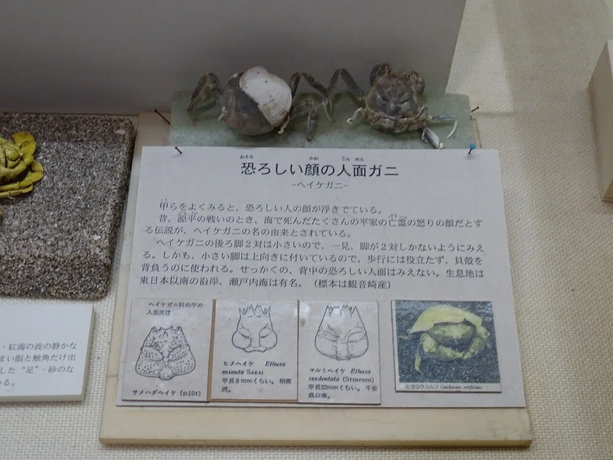 画像55
