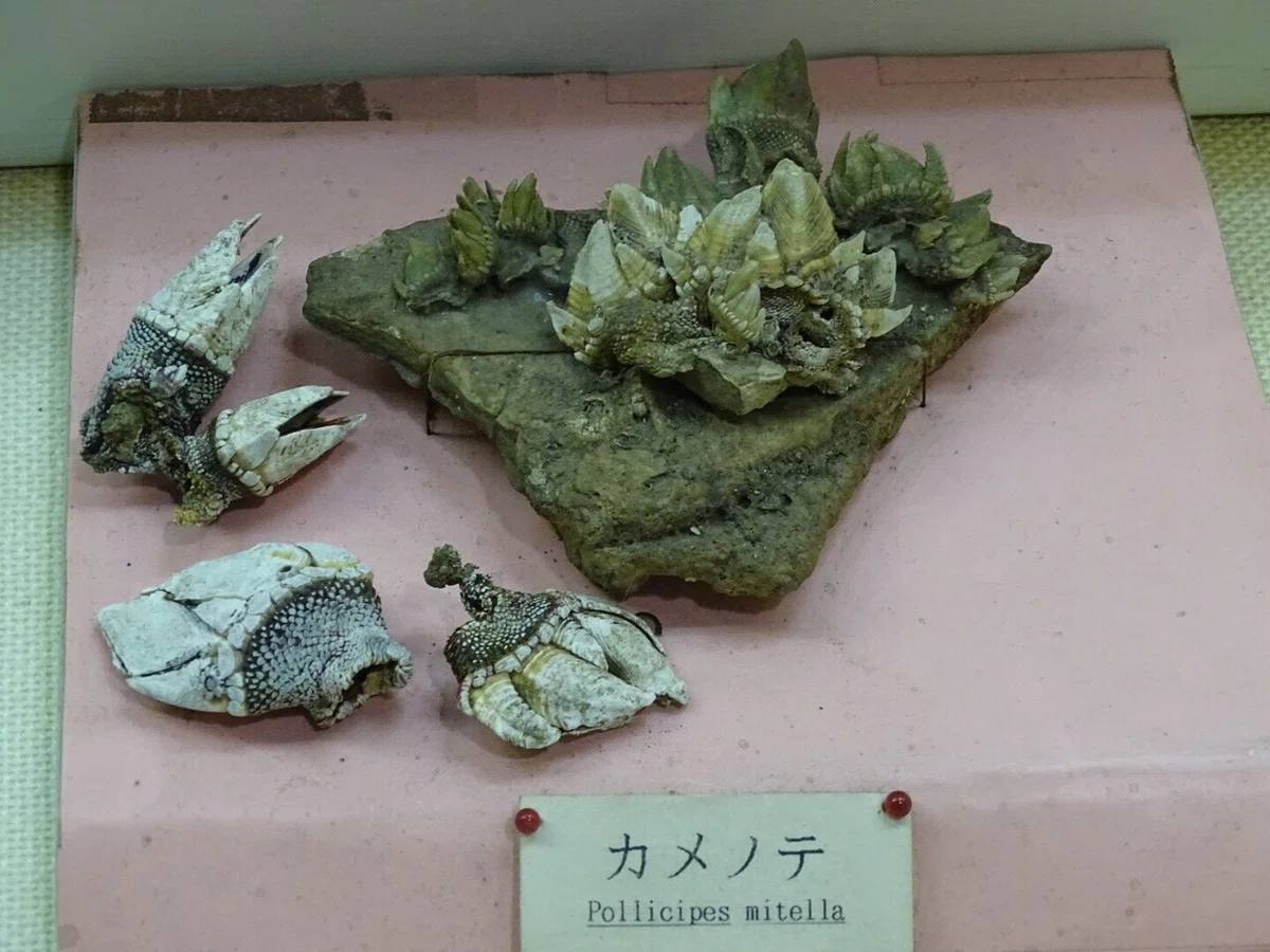 画像57