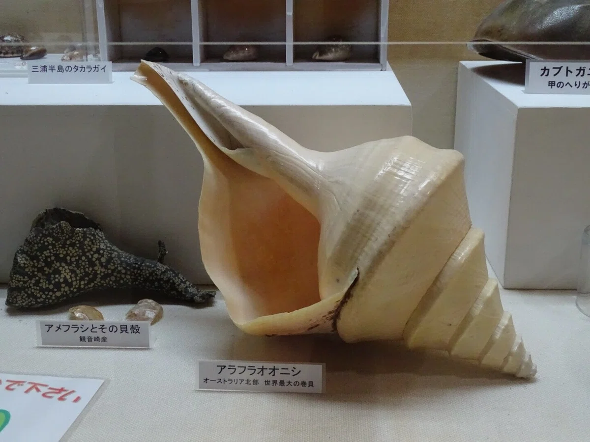 画像53