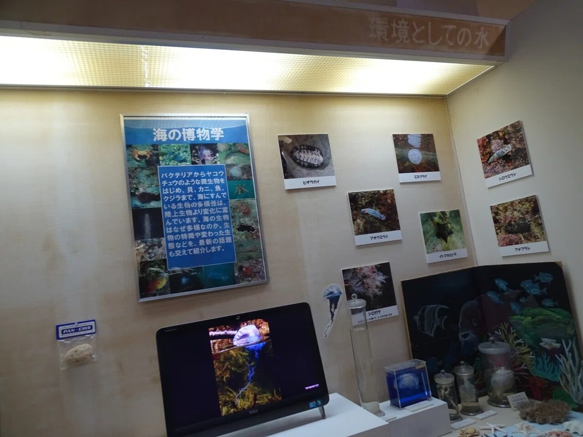 画像52