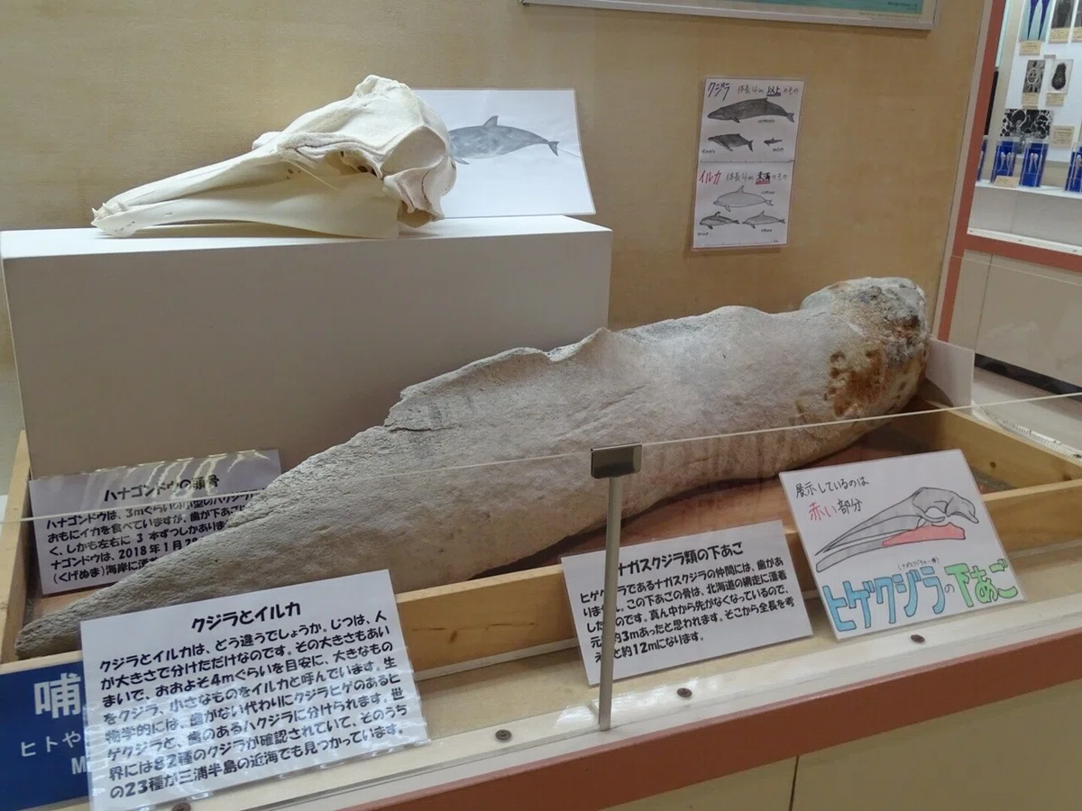 画像61