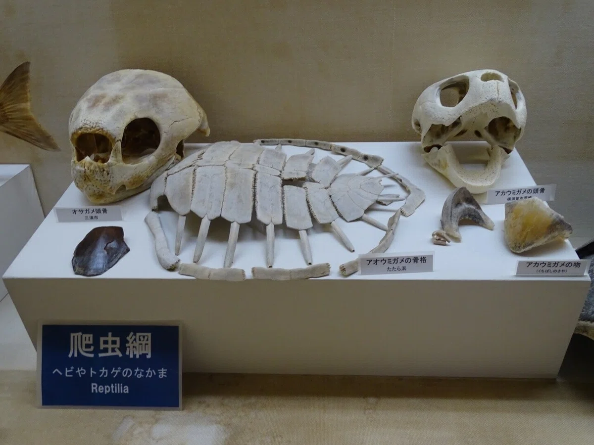 画像60