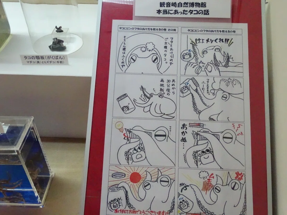画像63
