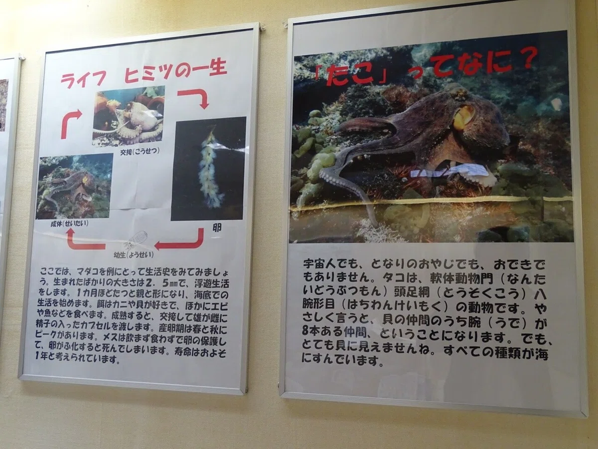 画像64