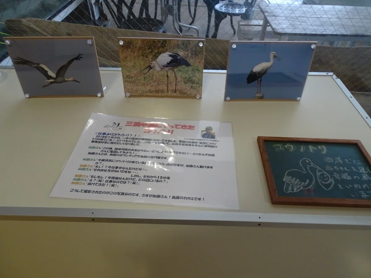 画像69