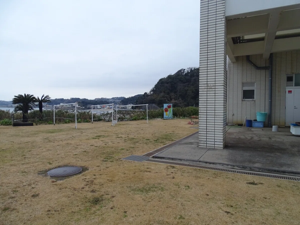 画像71