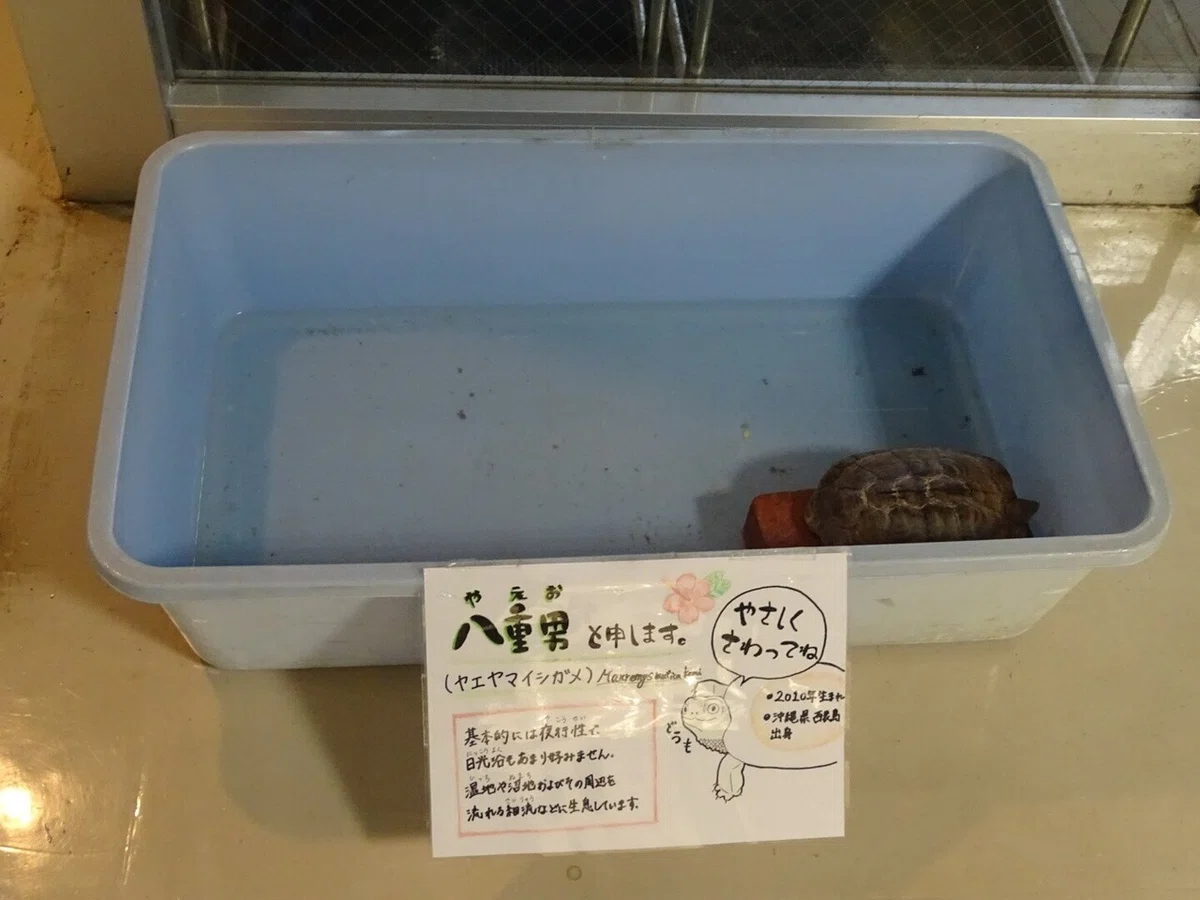 画像80