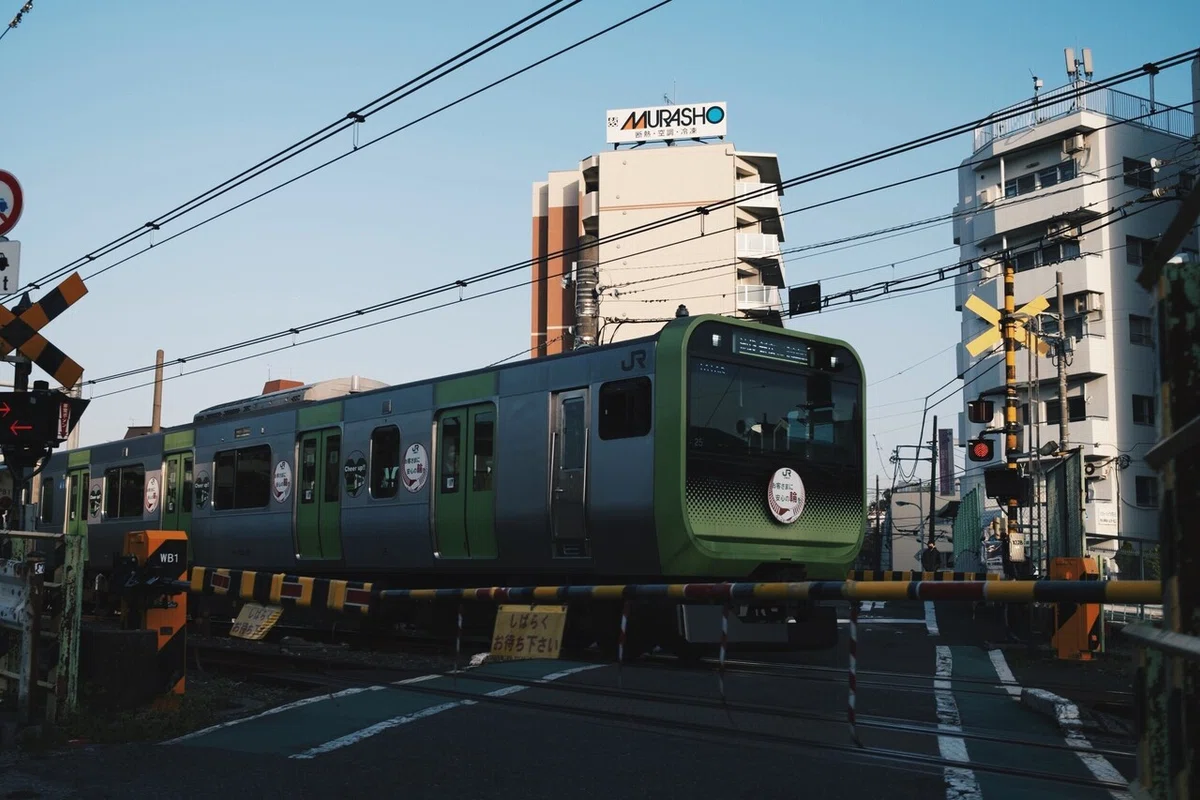 画像7