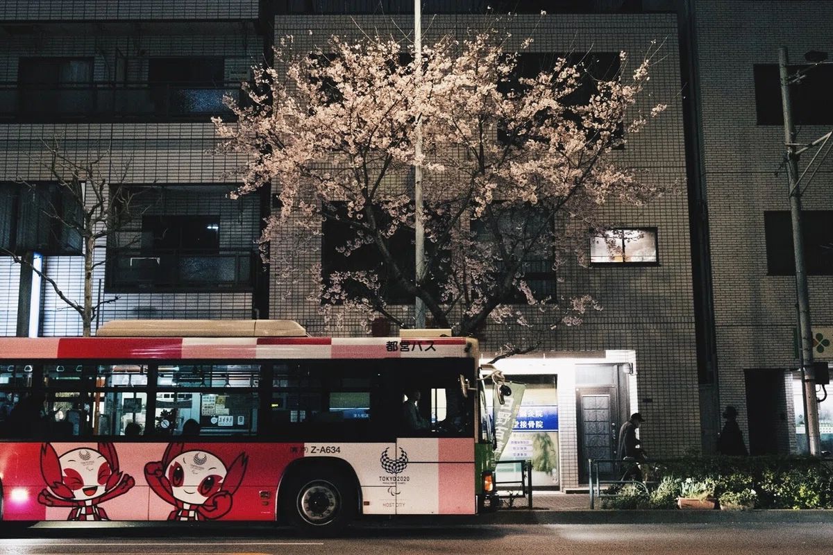 画像19