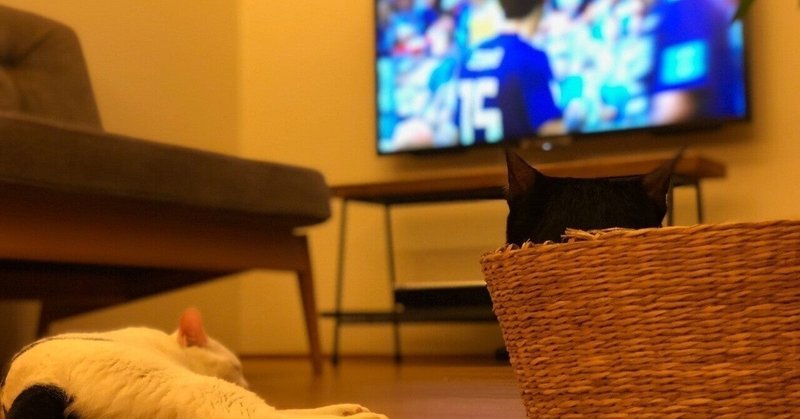 1994年サッカーワールドカップ イタリア の10番ロベルト バッジョがpkを外すシーンだけは忘れられない タカハシケンジ 書くンジャーズリーダー Note 1994年サッカーワールドカップ イタリア の10番ロベルト バッジョがpkを外すシーンだけは忘れられない タカハシケンジ 書くンジャーズリーダー Note