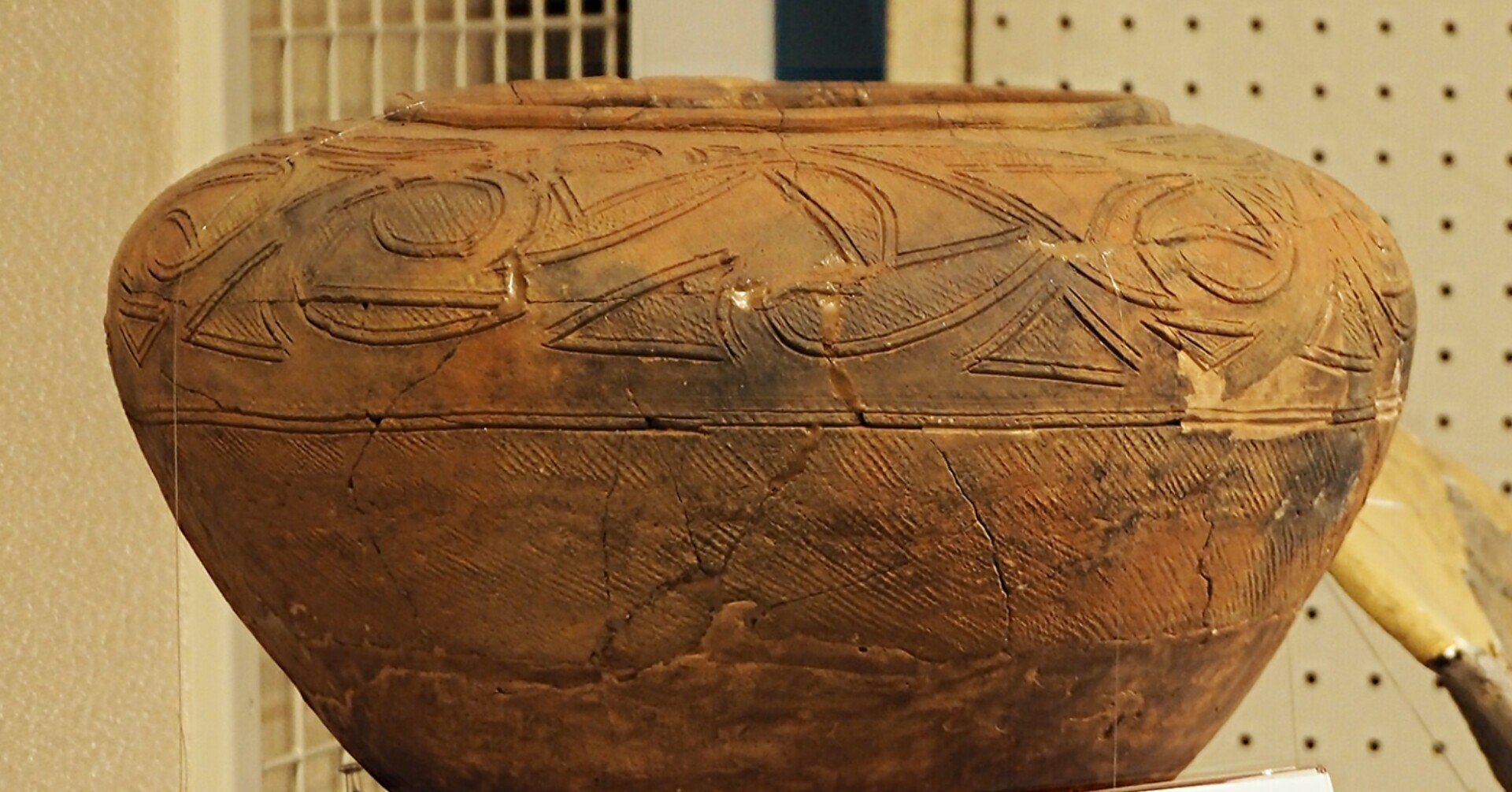 縄文土器のマニアックな謎解きでありながら、現代社会を考えるヒントに