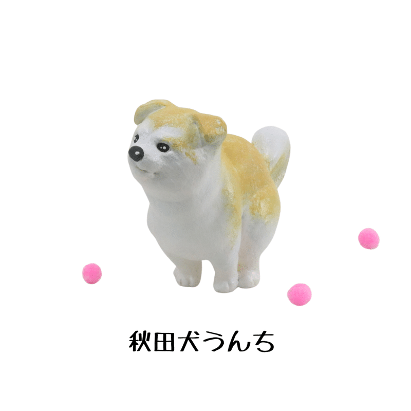 秋田犬うんち💩