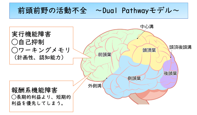 Adhd 注意欠如多動症 の基礎 対応 菜摘 ママパパ キッズ応援ナース Note