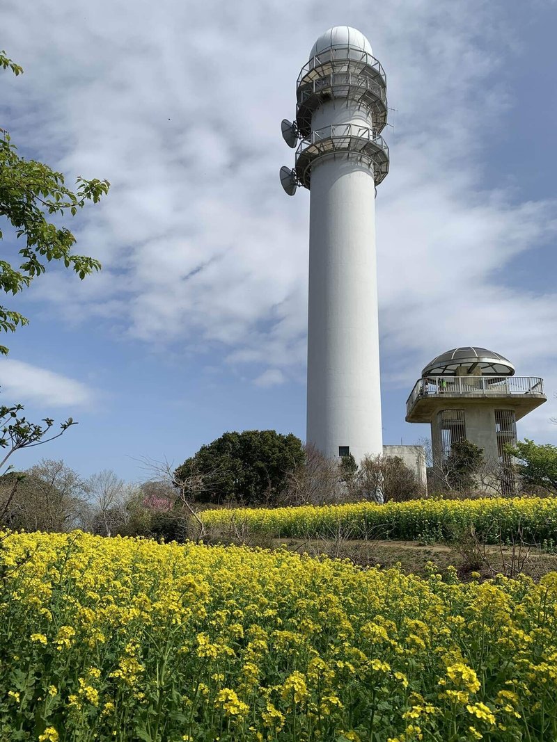 日記 菜の花満開の大楠山ハイキング Etminptl Note 日記 菜の花満開の大楠山ハイキング Etminptl Note