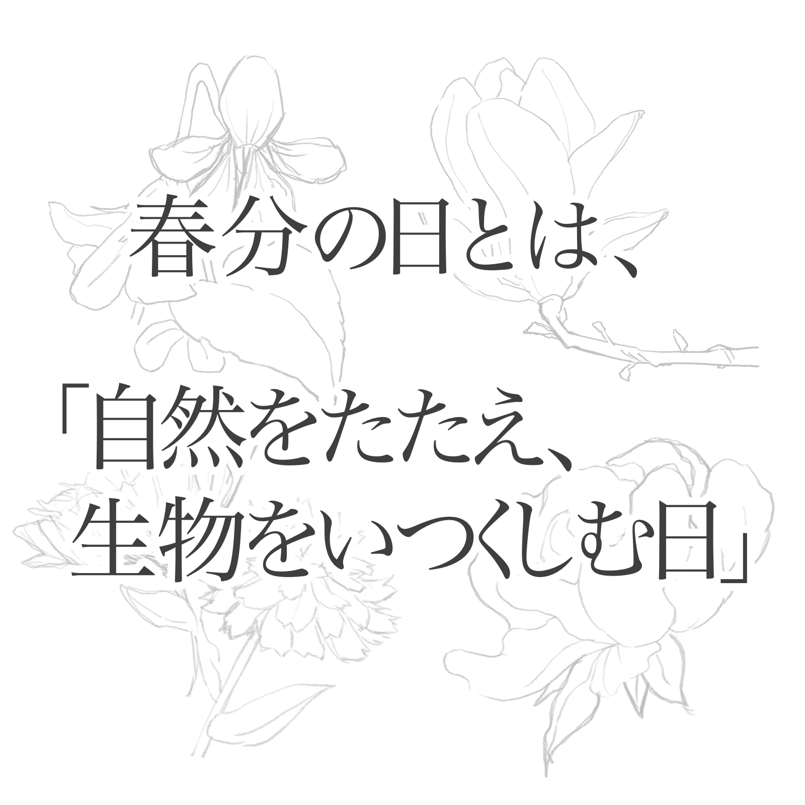 春分の日 Sofia Note 春分の日 Sofia Note