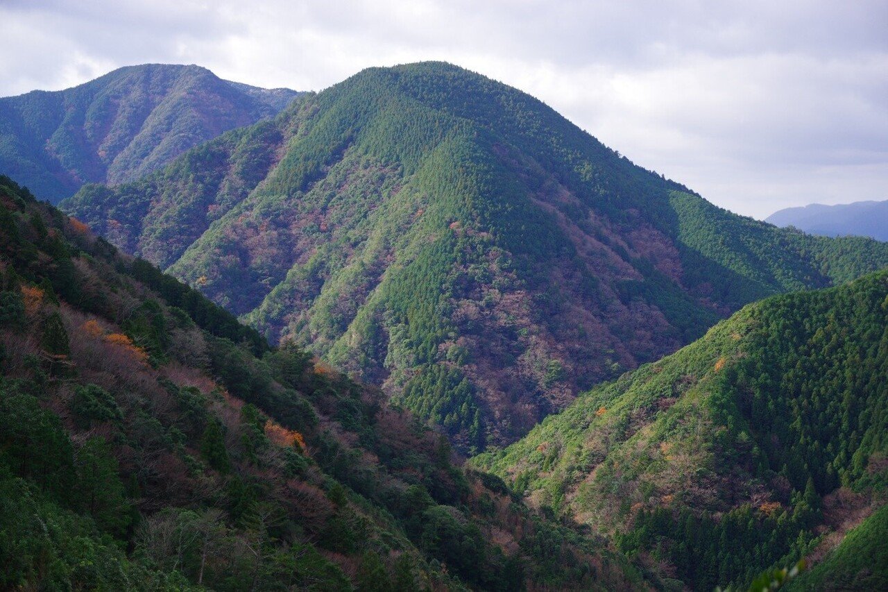 山ヲ歩キ 湯ニ到ル 04 入浴できる世界遺産 湯の峰温泉への長き道のり 熊野古道 中辺路 大内 征 本がひらく 山ヲ歩キ 湯ニ到ル 04 入浴できる世界遺産 湯の峰温泉への長き道のり 熊野古道 中辺路 大内 征 本がひらく