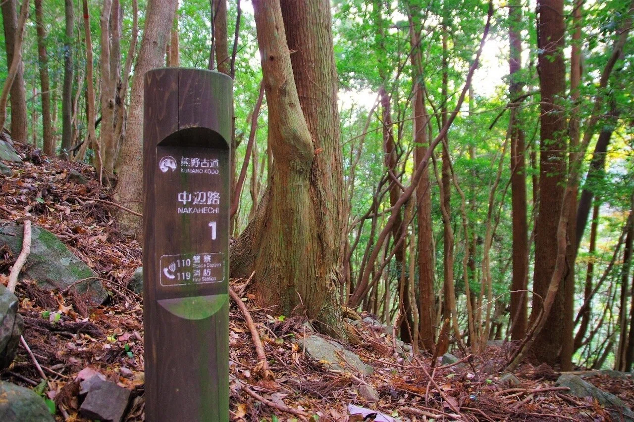 山ヲ歩キ 湯ニ到ル 04 入浴できる世界遺産 湯の峰温泉への長き道のり 熊野古道 中辺路 大内 征 本がひらく 山ヲ歩キ 湯ニ到ル 04 入浴できる世界遺産 湯の峰温泉への長き道のり 熊野古道 中辺路 大内 征 本がひらく