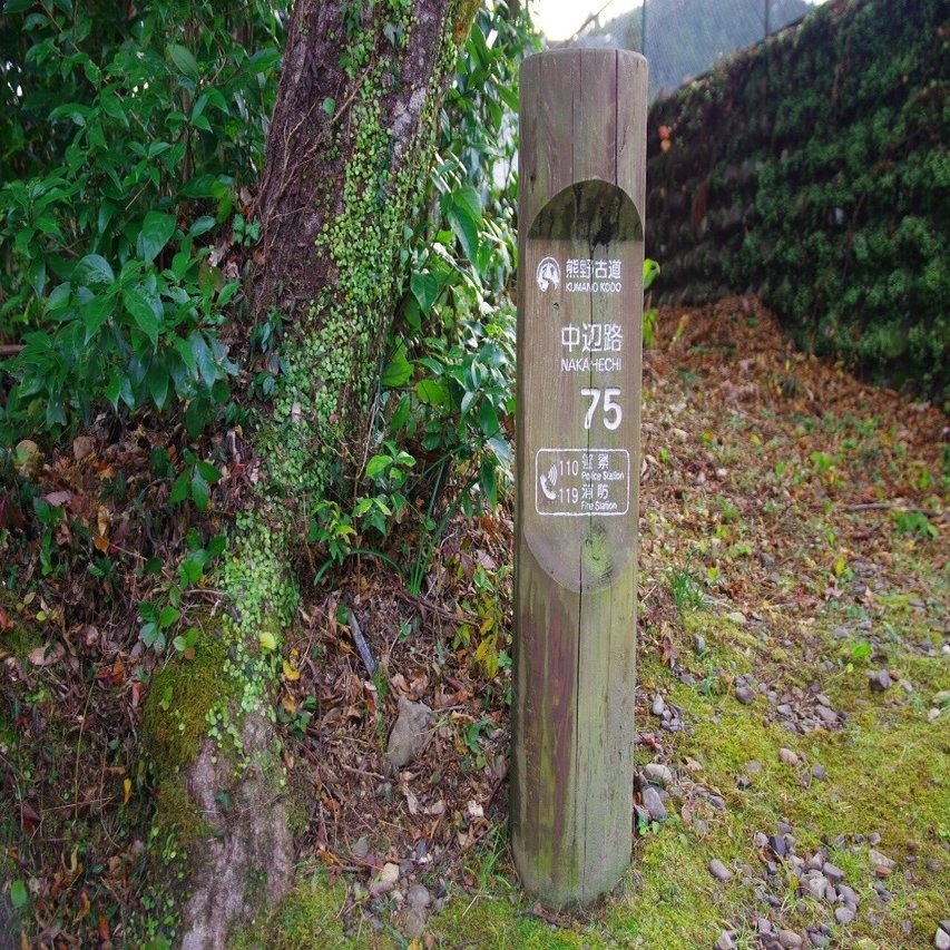 山ヲ歩キ 湯ニ到ル 04 入浴できる世界遺産 湯の峰温泉への長き道のり 熊野古道 中辺路 大内 征 本がひらく