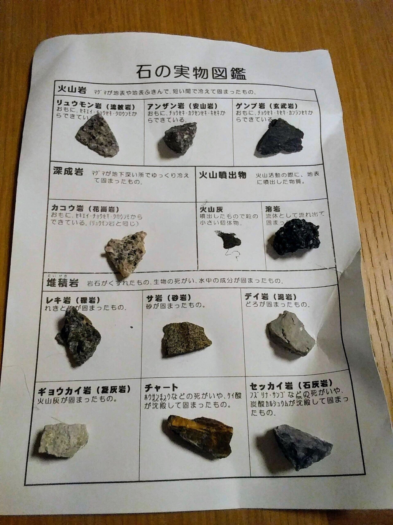 昔の植物が入った石