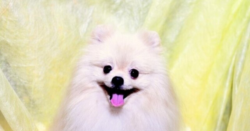 ポメラニアンかわいい Yuji 日替り外国語 Note ポメラニアンかわいい Yuji 日替り外国語 Note