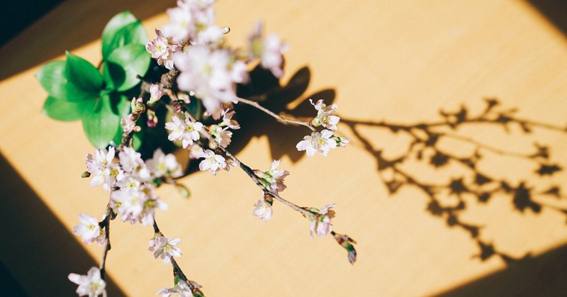 新しいお花見の様式 Olieviour Note