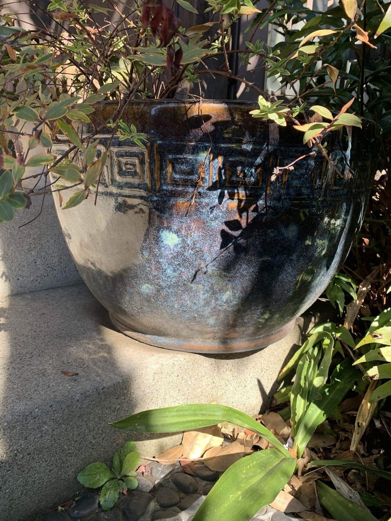 火鉢 シラちゃん Note