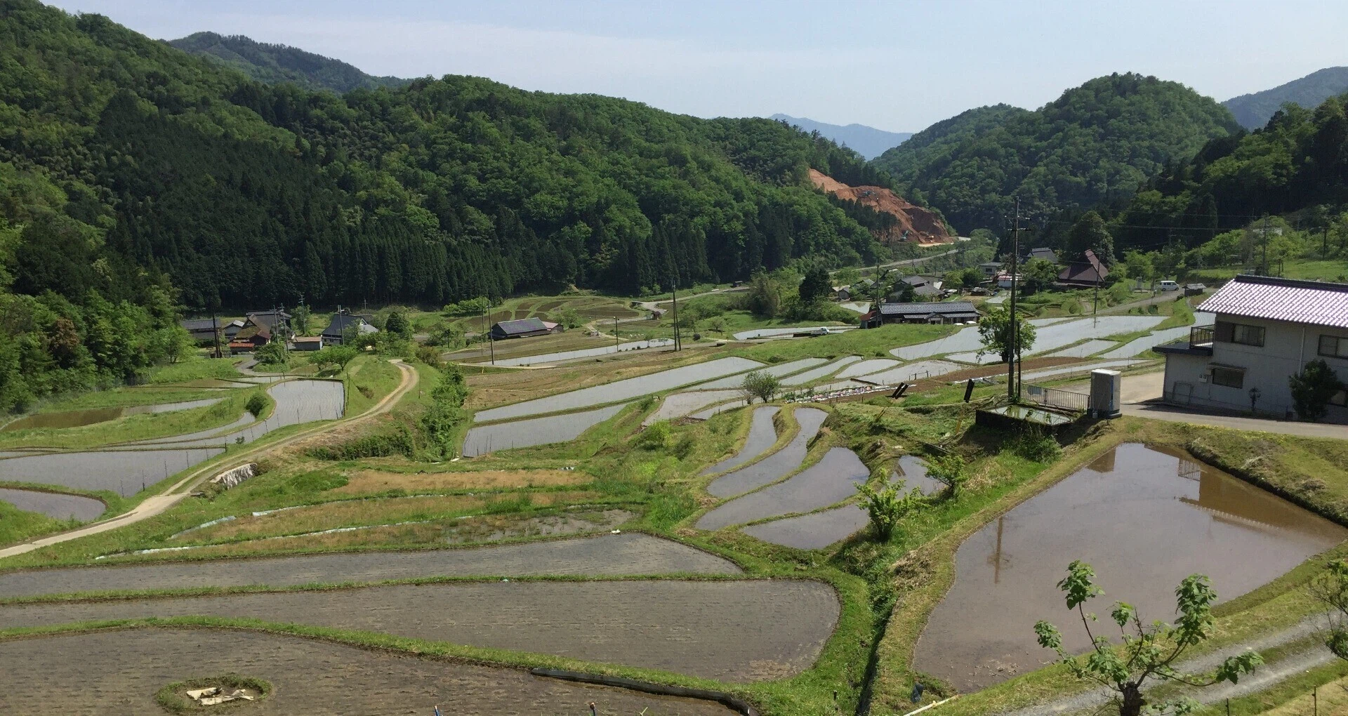 毛原の棚田