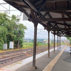 わたしの批評史①-はじめてのあずまんとはなんだったのか｜小林勝平