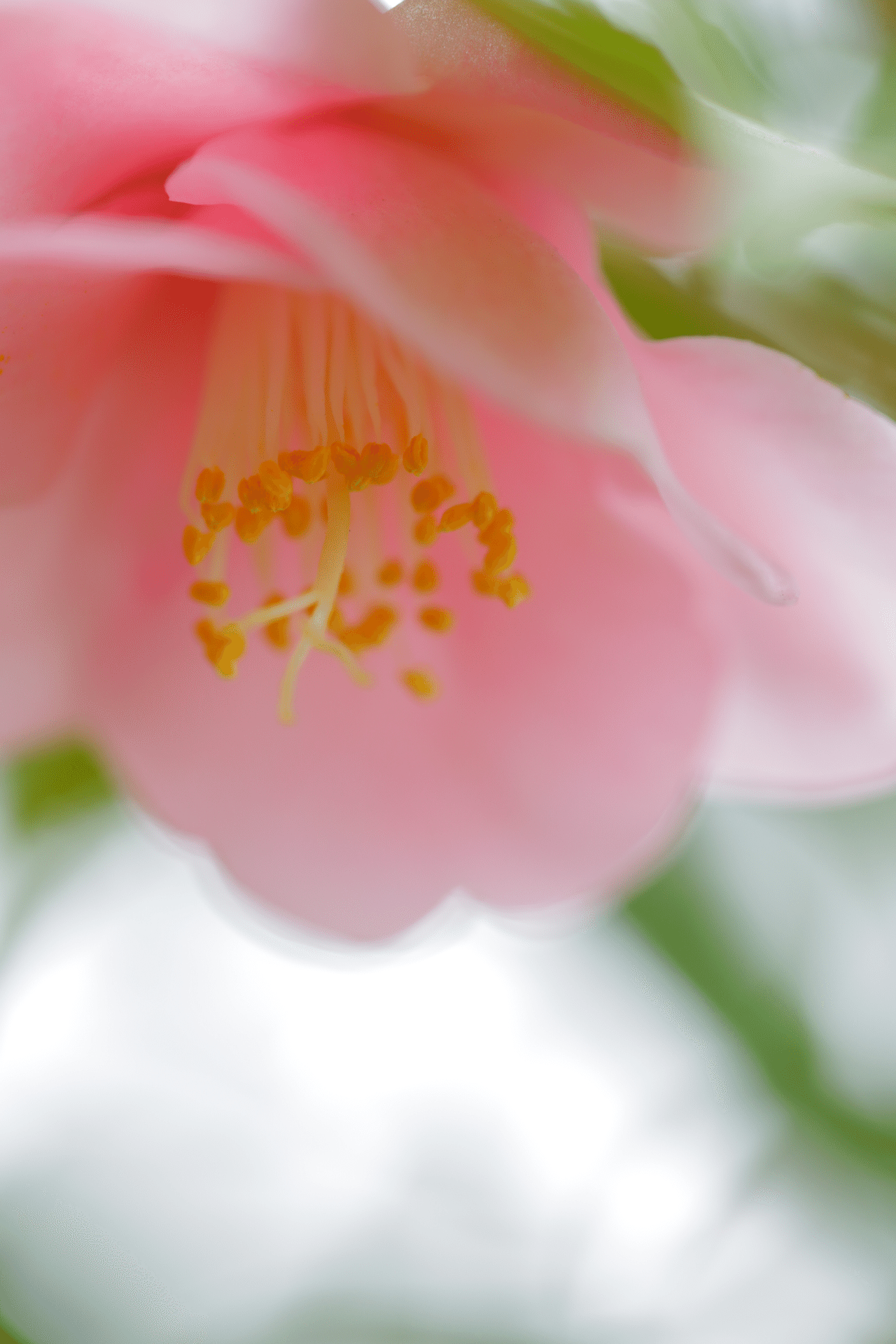 まんまで あや Note