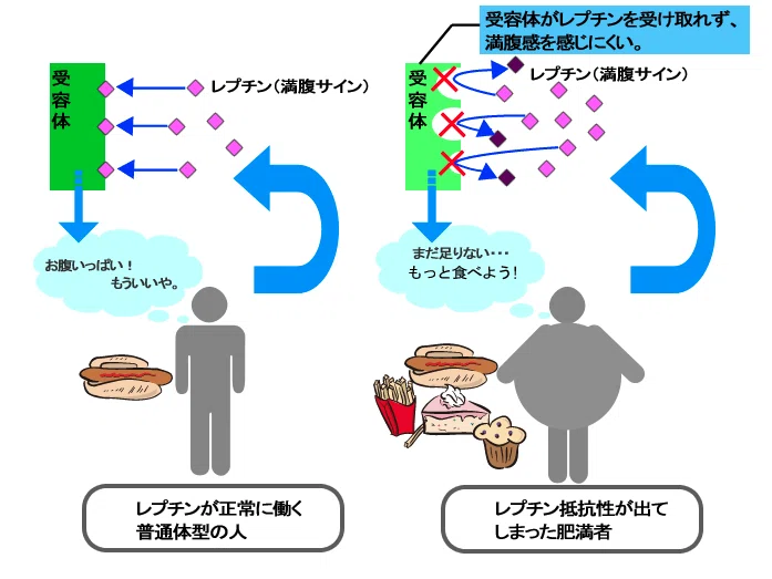 スクリーンショット 2021-03-20 9.15.43