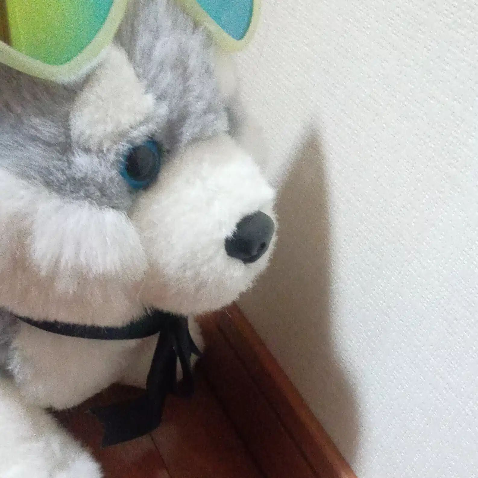 らん