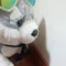 らん