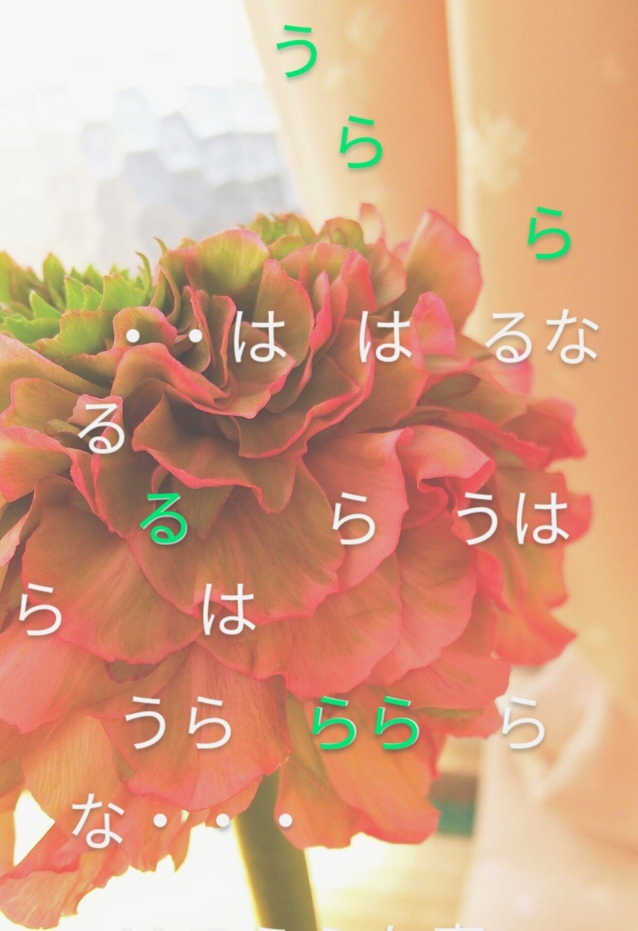 はるうららな春 Masatarou Note はるうららな春 Masatarou Note