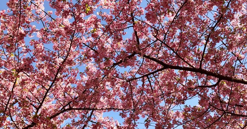 だらだら過ごす休日からの卒業 Shelikesで見つけたモチベーションの保ち方 ウキ Note