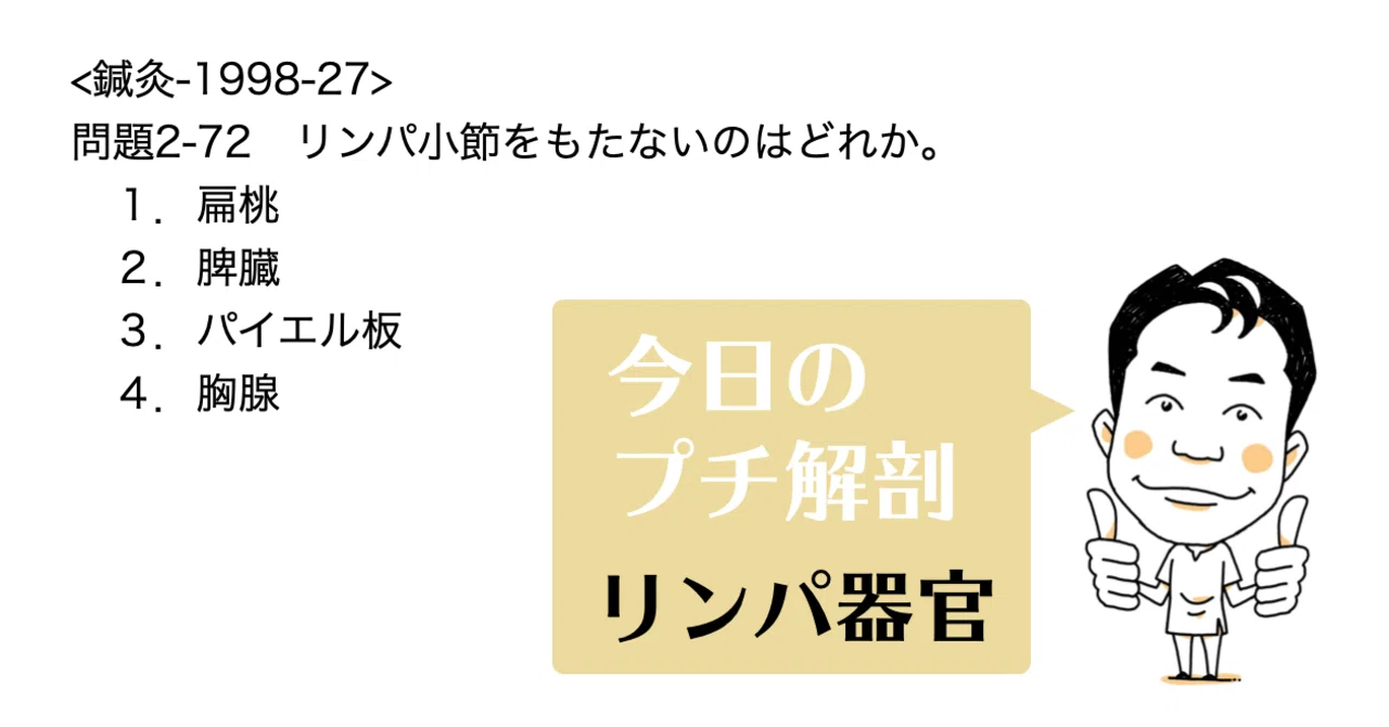 今日のプチ解剖 リンパ小節をもたないのはどれ 黒澤一弘 Note