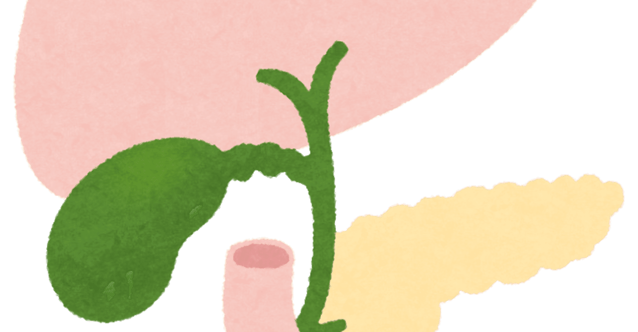 臨床編/胆嚢～胆嚢腺筋腫症(Adenomyomatosis:ADM)～｜えちょ