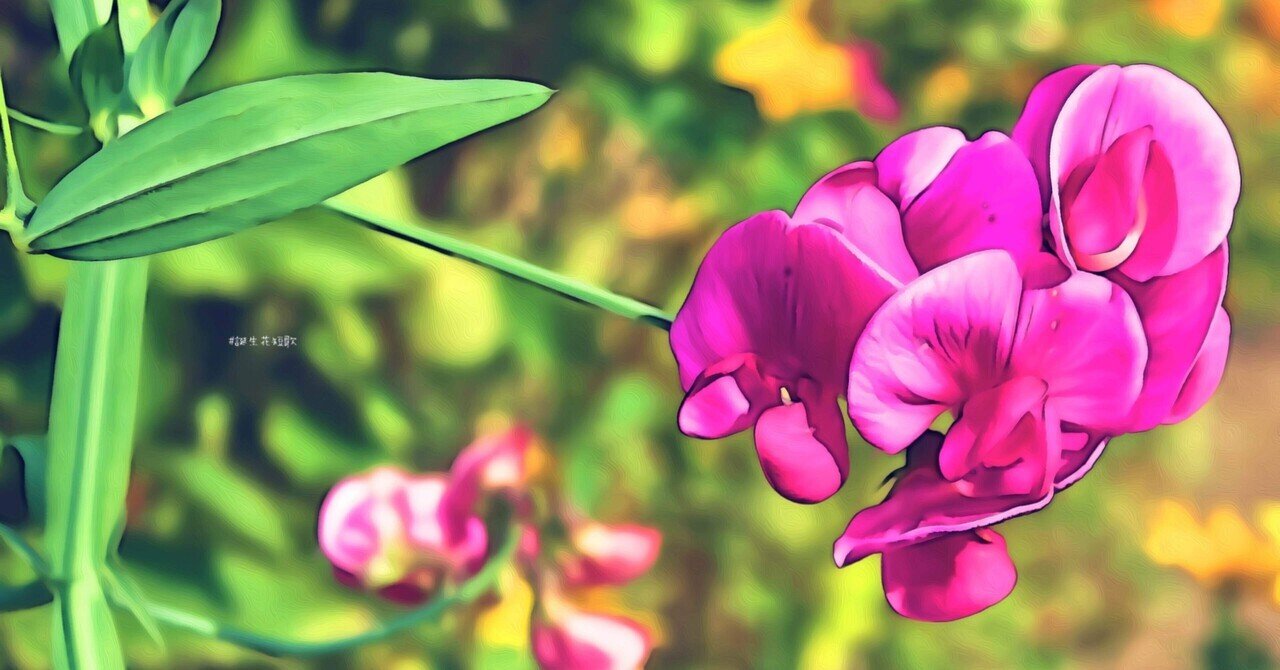 3月日 誕生花は麝香豌豆 誕生花短歌 御子柴 流歌 Note 3月日 誕生花は麝香豌豆 誕生花短歌 御子柴 流歌 Note