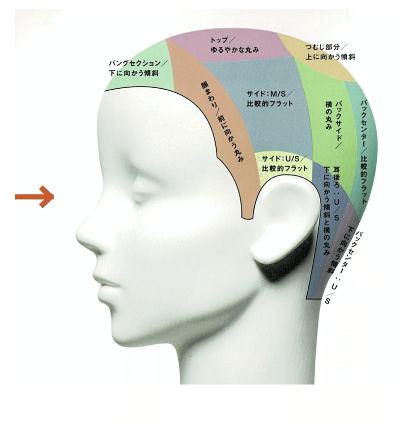 頭の形が気になる 絶壁 ハチ張りに効果的なヘアスタイルは 再現性カット研究所 Note 頭の形が気になる 絶壁 ハチ張りに効果的なヘアスタイルは 再現性カット研究所 Note