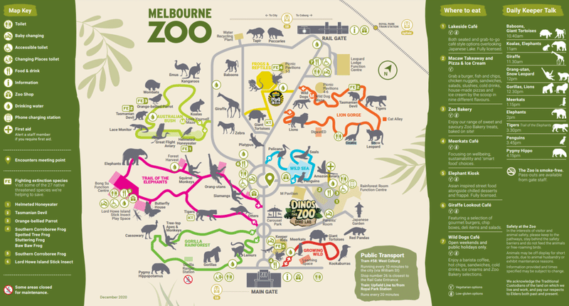 メルボルン動物園 のバーチャル ツアーとライブ ツアー 高橋昌一郎 Note メルボルン動物園 のバーチャル ツアーとライブ ツアー 高橋昌一郎 Note