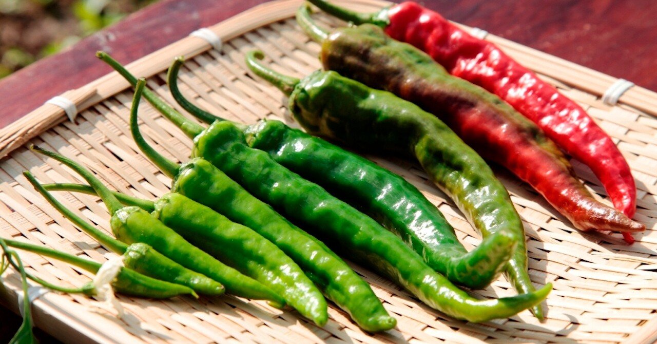 唐辛子 清水森ナンバ Plantrip B版 Note