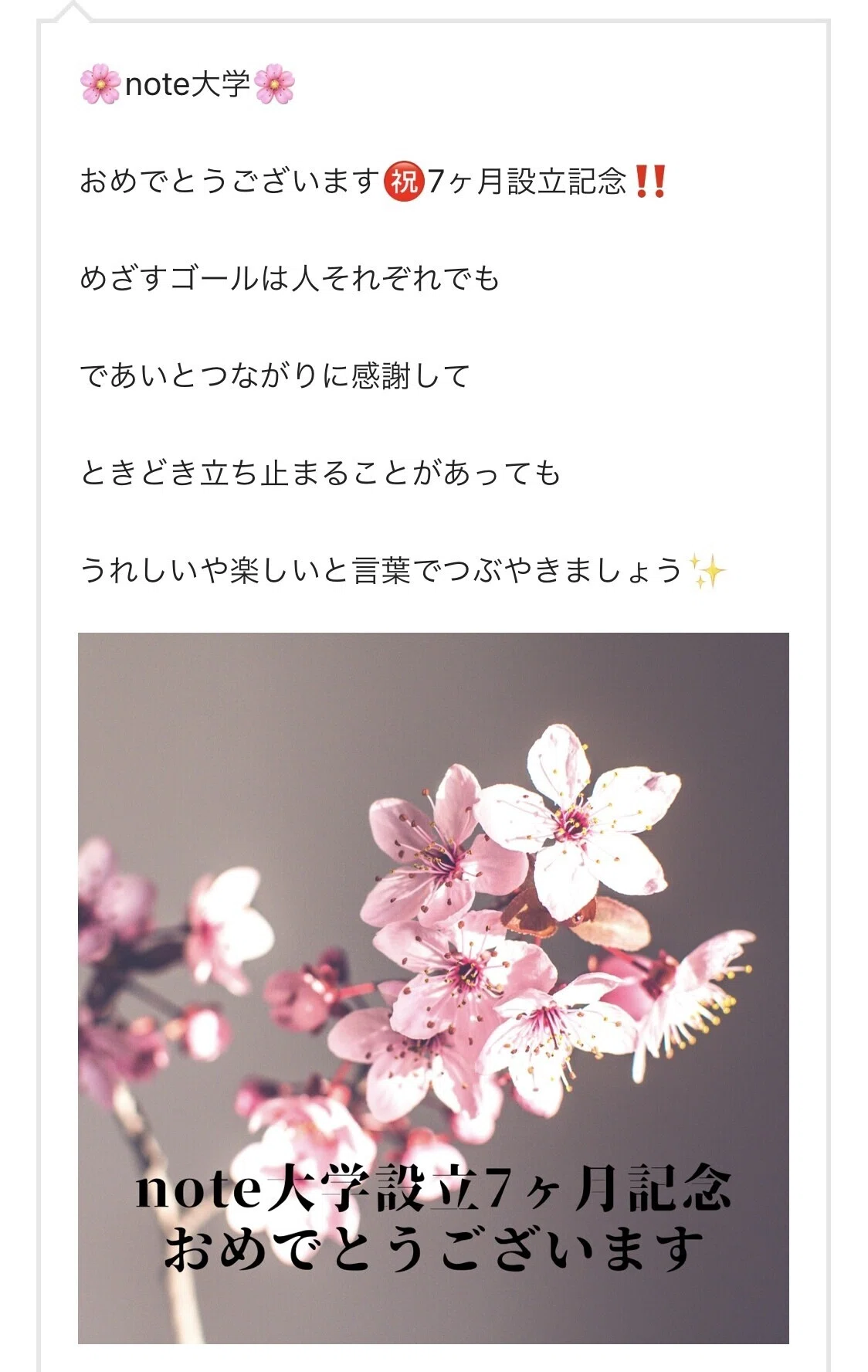 画像11