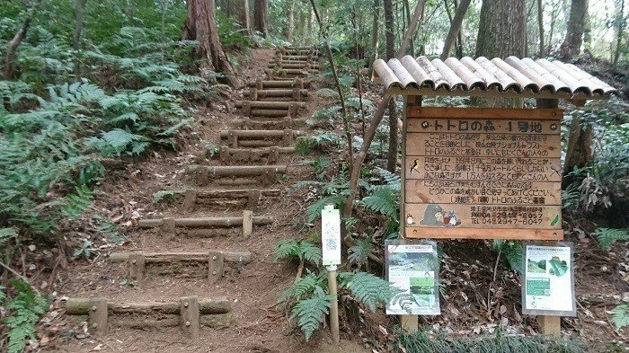 トトロには裏設定がある 噂や都市伝説をジブリマニアが暴いてみる Trip S トリップス 番外編 Note トトロには裏設定がある 噂や都市伝説をジブリマニアが暴いてみる Trip S トリップス 番外編 Note