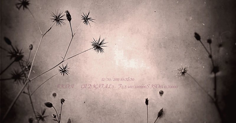 歌詞和訳 Too Much Love Will Kill You Queen マイケル太郎 Note