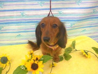 星系出雲の兵站 の新着タグ記事一覧 Note つくる つながる とどける 星系出雲の兵站 の新着タグ記事一覧 Note つくる つながる とどける