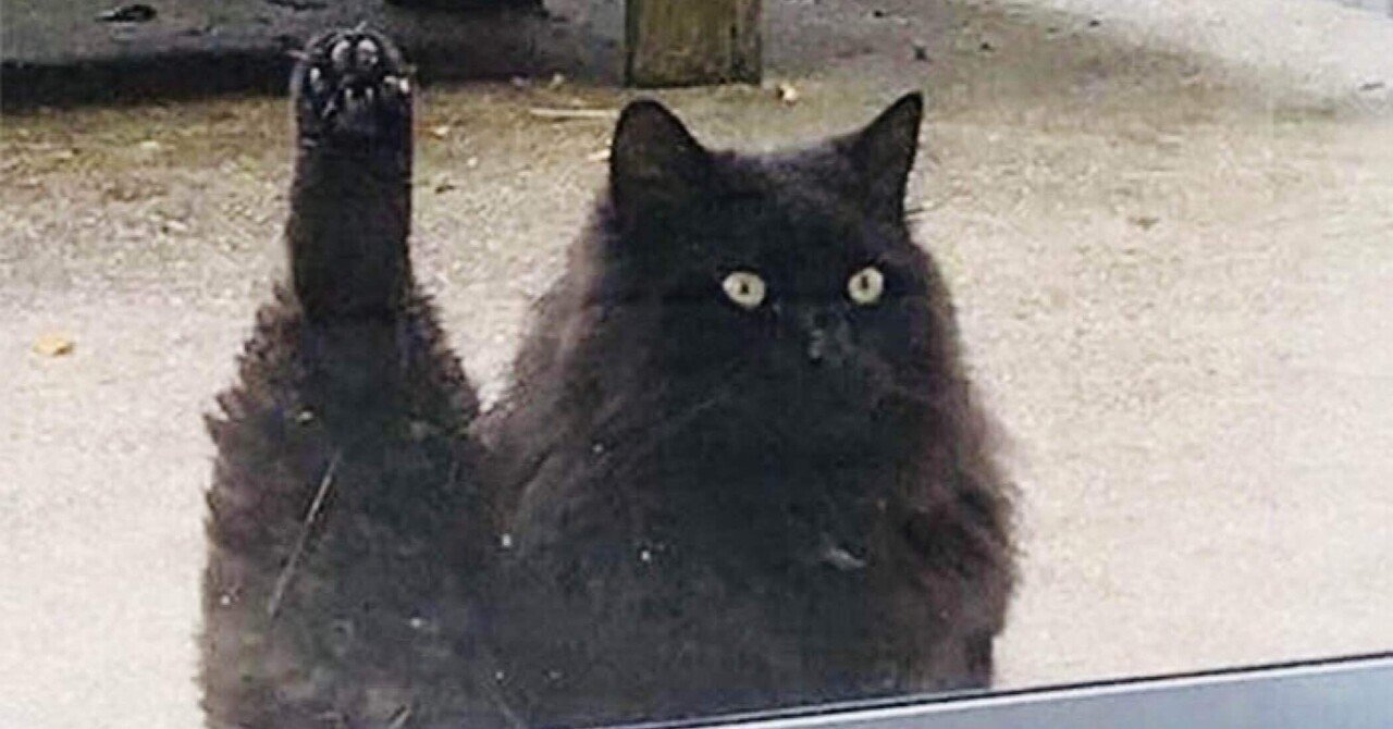 あなたを笑わせるためのおバカな猫の絵 4 ノリノリ Note あなたを笑わせるためのおバカな猫の絵 4 ノリノリ Note