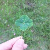 はぴはろ🍀