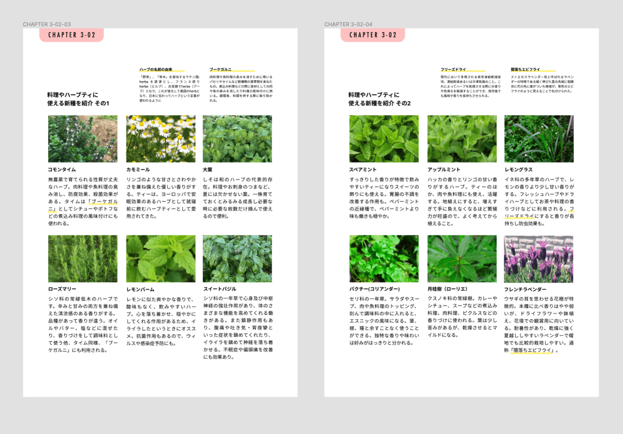 全文公開 Chapter 3 02 あした ハーブを植えよう Noriaki Kawanishi 田舎暮らしデザイナー Note 全文公開 Chapter 3 02 あした ハーブを植えよう Noriaki Kawanishi 田舎暮らしデザイナー Note