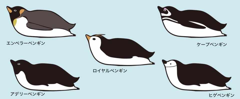 イラスト素材 腹ばいになって滑るペンギン5種類セット ふわそざ Note