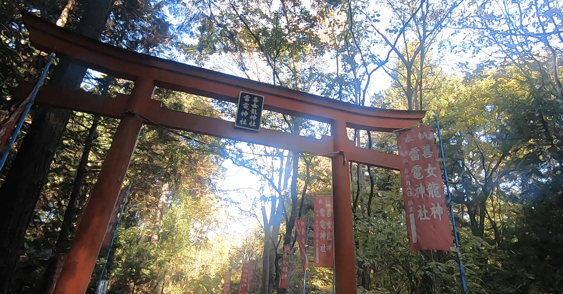 神社 龍神の強めの歓迎サインとは 時雨 Note
